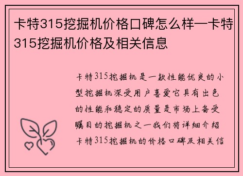 卡特315挖掘机价格口碑怎么样—卡特315挖掘机价格及相关信息